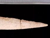 أبرز اكتشافات السيوف الأثرية والأسلحة القديمة عام 2021