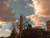 "نوران" تشارك صحافة المواطن بموهبتها فى التصوير وتتمنى أن تصبح مصورة صحفية