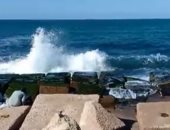 طقس الإسكندرية الآن.. سطوع للشمس وهدوء فى حركة الأمواج (فيديو وصور)