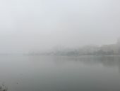 أجواء باردة وشبورة مائية تغطى سماء محافظة الغربية.. لايف وصور