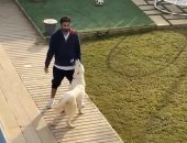 بحاول أضيع وقت.. أحمد فهمى يلعب مع كلابه خلال عزل كورونا.. فيديو