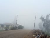 طقس بارد وشبورة كثيفة تحجب الرؤية بالشرقية.. فيديو لايف