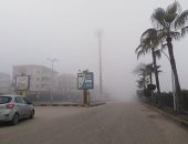 طقس دمياط الآن.. شبورة كثيفة وتأثر حركة المرور على الطرق.. فيديو لايف وصور