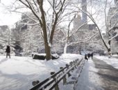 الجليد يغطى حديقة سنترال بارك في نيويورك والسياح يستمتعون.. فيديو وصور