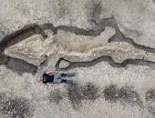 العثور على حفرية "تنين بحر" فى بريطانيا.. عمرها 180 مليون سنة