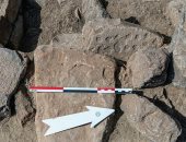 علماء الآثار يكتشفون لعبة "نرد" عمرها 4000 عام.. اعرف التفاصيل