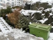 السويد تنهى احتفالات الكريسماس والتخلص من أشجار عيد الميلاد.. صور