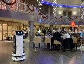 روبوت يقدم الطعام ويغنى بمطعم فى إنجلترا بسبب نقص الموظفين.. فيديو وصور