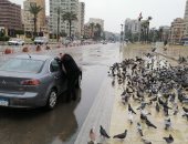 حمام الشهداء يرفرف تحت الأمطار بمحافظة بورسعيد.. صور 