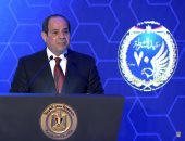 الرئيس السيسي: ثورة 25 يناير عبرت عن تطلع المصريين لبناء مستقبل جديد