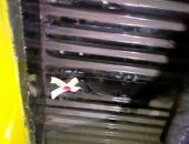 تكثيف الحملات المكبرة لتطبيق الإجراءات الاحترازية بنطاق أحياء الإسكندرية.. صور