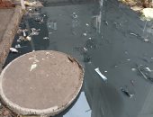 شكوى من سوء الصرف الصحى بعزبة الهاويس بالدقهلية.. وشركة المياه ترد