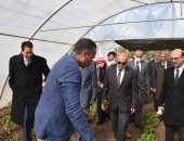 رئيس جامعة أسيوط يفتتح مجمع صوب كلية الزراعة ويشيد بجودة إنتاجه