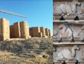 اكتشاف أدلة على تهجين الإبل فى معبد قديم بالعراق