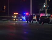 مصرع 9 أشخاص فى حادث تصادم بلاس فيجاس