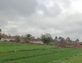 طقس المنوفية الآن.. برودة فى الجو وغيوم بالسماء على كافة الأنحاء.. فيديو لايف