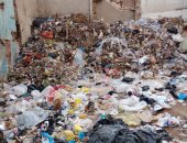 أهالى شارع الفدان بطنطا فى الغربية يشكون تراكم القمامة.. ورئيس الحى يرد