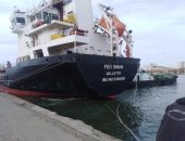  شحن 4 آلاف طن صودا كاوية وتداول 24 سفينة بموانئ بورسعيد