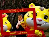 حصاد الربيع.. 2.78 مليار دولار حصيلة احتفالات الصين بعام النمر