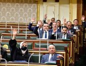 مجلس النواب يوافق مبدئيا على قانون المجلس الصحى المصرى      