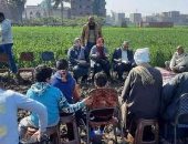 زراعة الشرقية تُنفذ مدرستين حقليتين عن زراعة القمح والفراولة