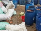 إعدام 2462 كيلو مواد أغذية فاسدة خلال حملات لصحة البحيرة
