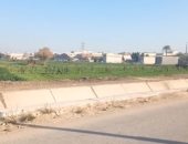 الانتهاء من تأهيل وتبطين 449.400 كيلو ترع ضمن "حياة كريمة" بالمنيا.. لايف