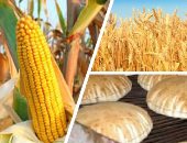 كيف سيتأثر الشرق الأوسط حال نشوب حرب بين روسيا وأوكرانيا؟.. وول ستريت: قلق كبير حال تعرض صادرات القمح الأوكرانية للمنطقة للاضطراب.. واشنطن بوست: الأمن الغذائى العالمى سيصبح فى خطر.. ومحللون: الأسعار سترتفع 20%