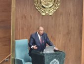 محمود محيي الدين: تقرير "تمويل التنمية المستدامة فى مصر" الأول من نوعه بالعالم