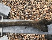 BBC: رجل يعثر على عظام بشرية عمرها 5 آلاف عام أثناء تجديفه بنهر التايمز بلندن
