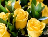 أنواع زهور تنذر بنهاية العلاقة العاطفية.. الأصفر بيقولك أنت فى "الفريندزون"
