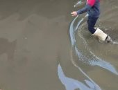 أهالى دسونس بدمنهور يطالبون بحل مشكلة تراكم المياه بالشوارع.. والمحافظة ترد