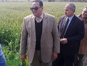 وكيل وزارة الزراعة بدمياط: زراعة 2000 فدان قمح زيادة عن الموسم السابق