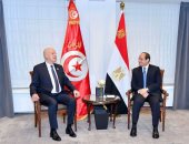 الرئيس السيسى يؤكد الدعم المستمر لإجراءات قيس سعيد لتحقيق استقرار تونس