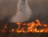 17 حريقا نشطا فى كورينتس الأرجنتينية والحيوانات تحاول الهروب..فيديو وصور