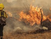 إجلاء أكثر من 12000 شخص بسبب حرائق الغابات فى فرنسا
