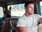 فيلم تشانينج تاتوم الجديد Dog يحقق 77 مليون دولار حول العالم