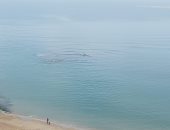 طقس الإسكندرية.. شبورة وغيوم تكسو السماء وتوقعات بسقوط أمطار.. لايف وصور