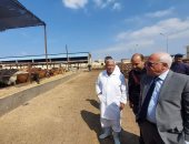 محافظ بورسعيد: محطة تسمين الماشية تحقق أعلى معدل نمو فى تربية وإنتاج اللحوم