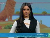 الأرصاد تحذر من تخفيف الملابس: عودة الأمطار فى نهاية الأسبوع