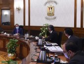 رئيس الوزراء يستعرض عددا من مقترحات مشروعات الهيدروجين الأخضر وتحلية المياه