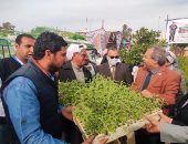 بدء توزيع دواجن وأغنام وشتلات زيتون ولوز على مزارعين بالشيخ زويد فى شمال سيناء.. فيديو
