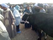 حملات للمرور على سوق مواشى أرمنت لمتابعة صحة وسلامة الحيوانات بالأقصر.. صور