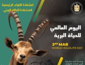مصر تشارك العالم الاحتفال باليوم العالمى للحياة البرية على مواقع التواصل