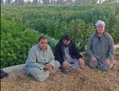 حياة كريمة في الشرقية.. أهالى قرى بحر البقر: المبادرة حققت أكثر من أحلامنا.. بث مباشر