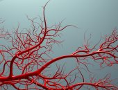 جعل غير المرئى مرئيا.. تقنية تصوير  تظهر الأوعية الدموية بشكل لم يسبق له مثيل