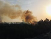 حريق هائل داخل أرض زراعية بالإسماعيلية.. وألسنة النيران والأدخنة تتصاعد.. فيديو