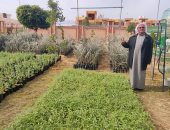 تواصل تنفيذ مشروع إمداد المزارعين بشتلات زيتون ومستلزمات زراعية بسيناء