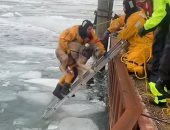 رجل إطفاء أمريكى ينقذ كلبة سقطت فى نهر متجمد.. فيديو وصور