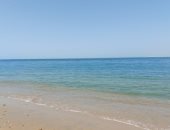 هلت نسايم الربيع.. طقس دافئ وشمس ساطعة بالإسكندرية.. لايف وصور